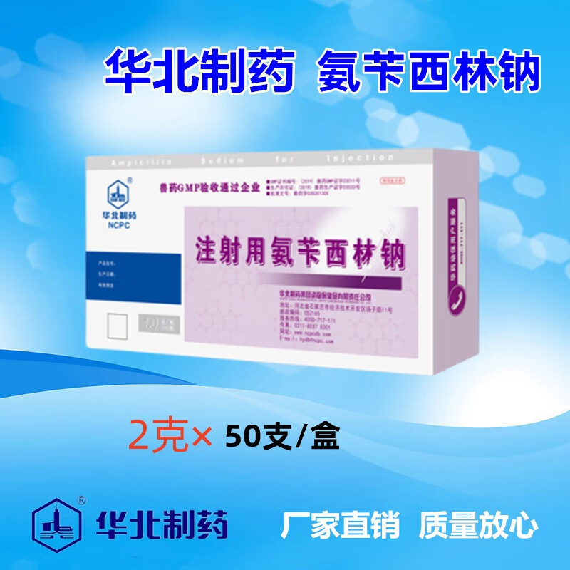 兽用注射用氨苄西林钠50支 抗菌消炎 细菌感染 2克