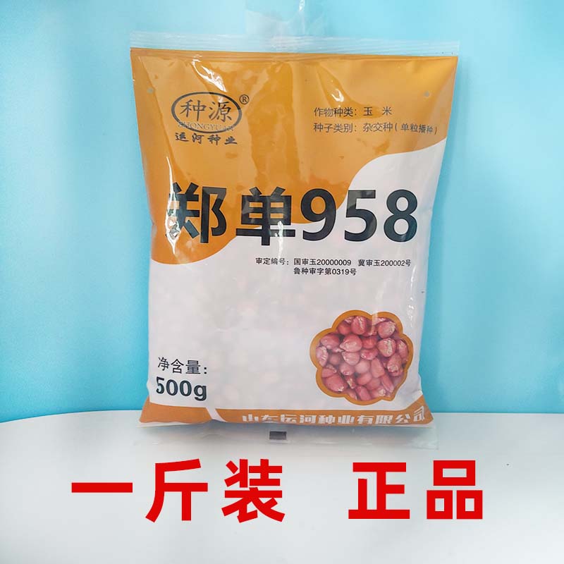 旺园兴金博士郑单958玉米种子良种国审籽高产杂交 郑单958一斤装