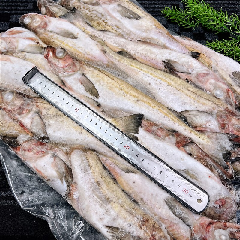 鱼延边特产朝鲜棒鱼鳕鱼延吉棒砸鱼 顺丰速运明太鱼20斤300-400克/条