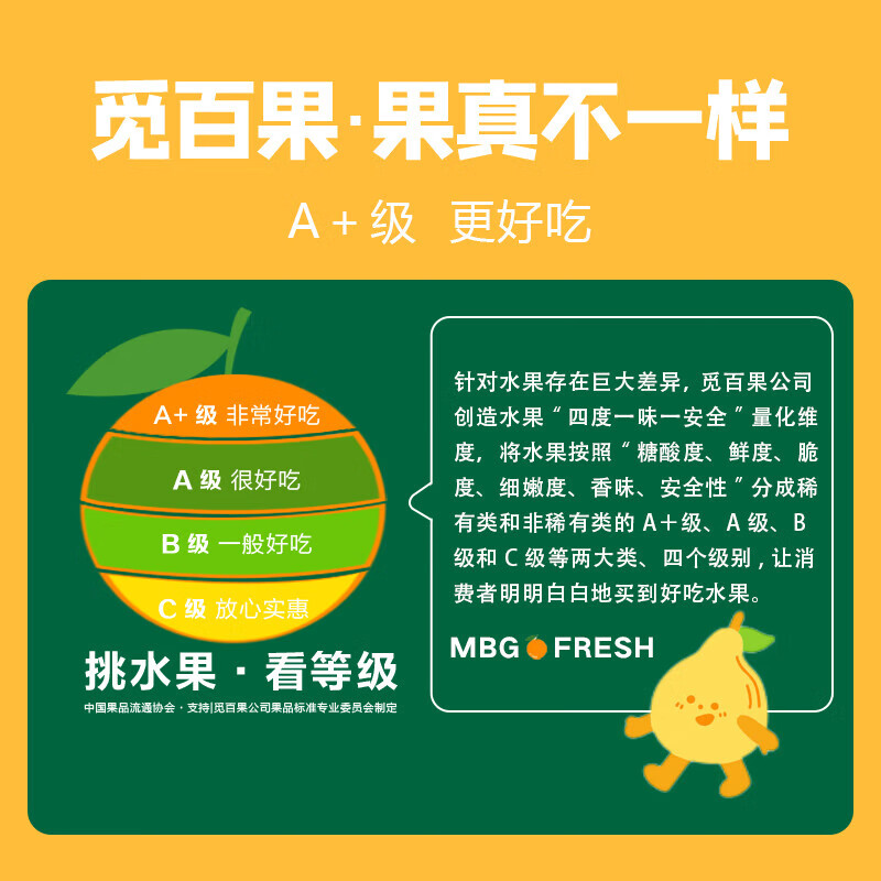觅百果正宗山东莱阳秋月梨新鲜水果梨子现摘当季冰糖蜜梨团购礼品整箱 带箱9.5-10斤果王【10-12枚】甄选装