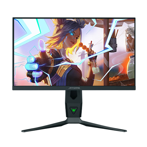ANTGAMER蚂蚁电竞 24.5英寸2K300Hz显示器 氧化物FastIPS 10Bit HDR400 1msGTG DIC技术护眼低蓝光ANT253PQ