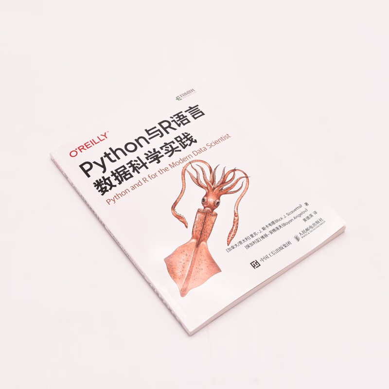 Python与R语言数据科学实践(异步图书出品)详情图