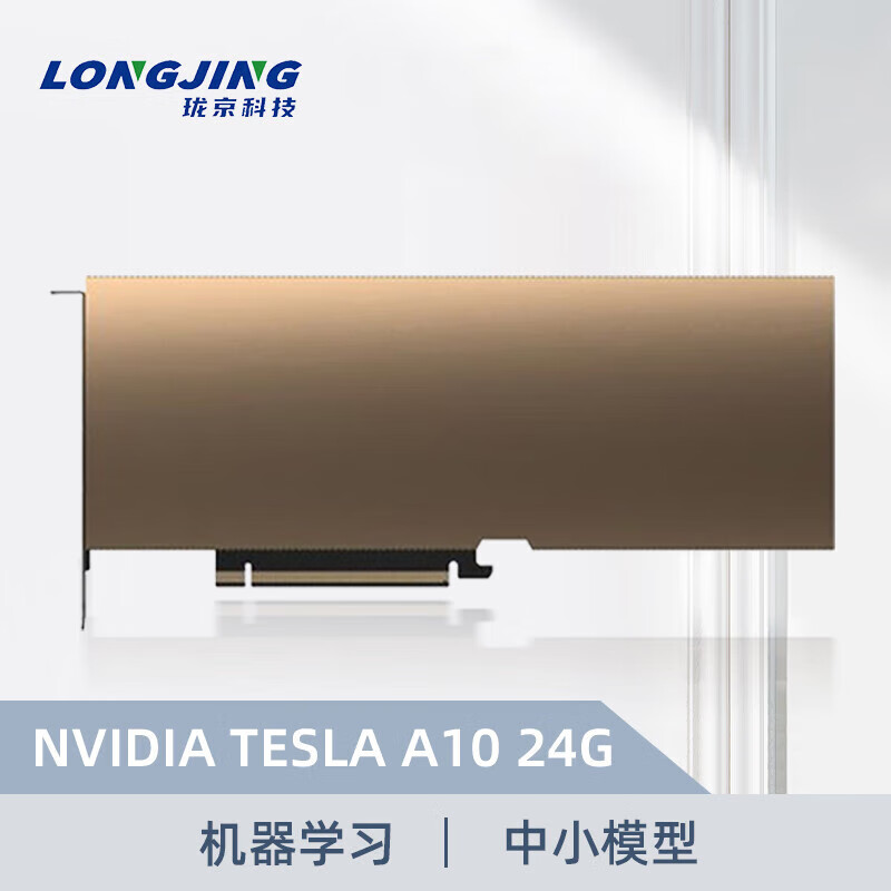 英伟达 NVIDIA A10 24G GPU TESLA显卡AI深度学习计算训练推理加速 珑京服务器配件