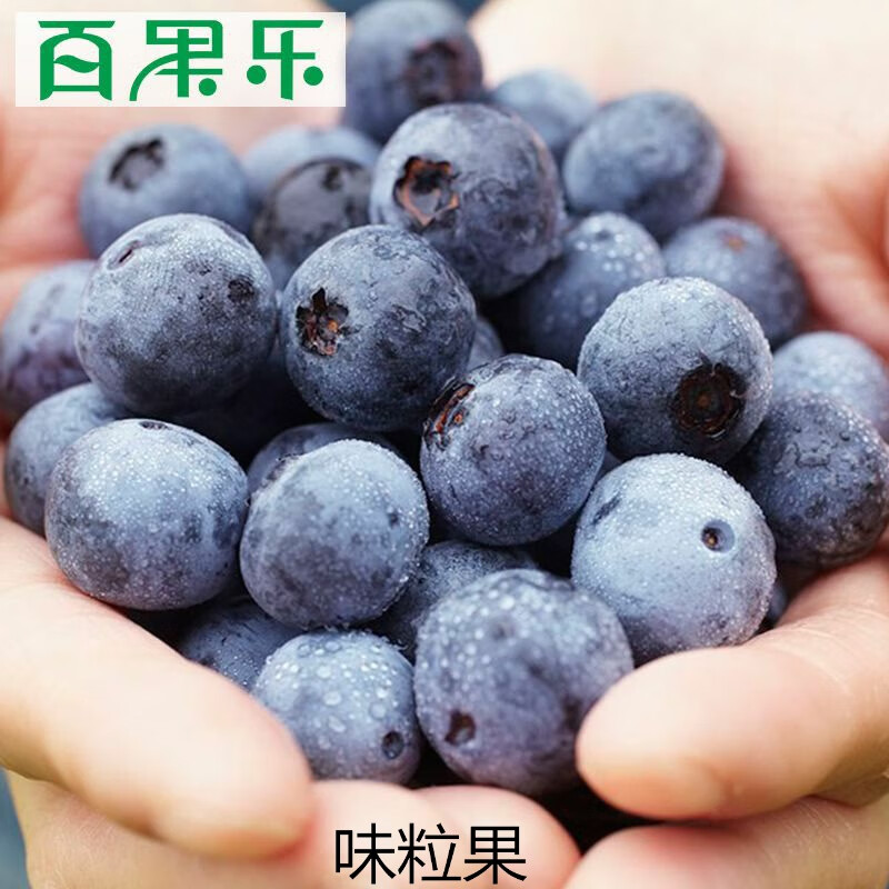 佳沃(joyvio)蓝莓水果鲜果新鲜一箱云南佳沃蓝莓李果大果125g/盒 4盒