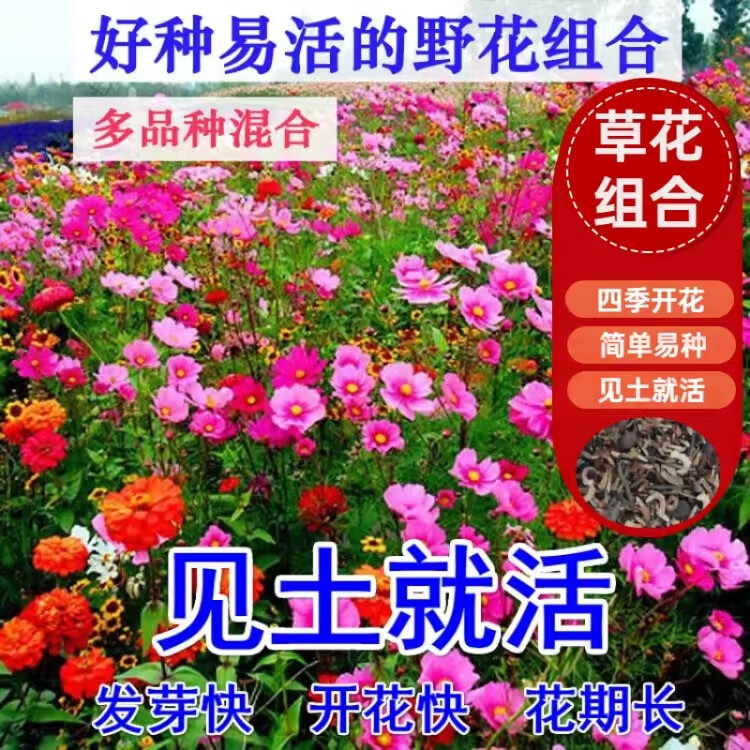 ˶��԰�ո�ɣ�������ļ����������Ӱ���˹�ջ�����������ͥԺ�׻������ 10��Ʒ��Ұ���������2000��