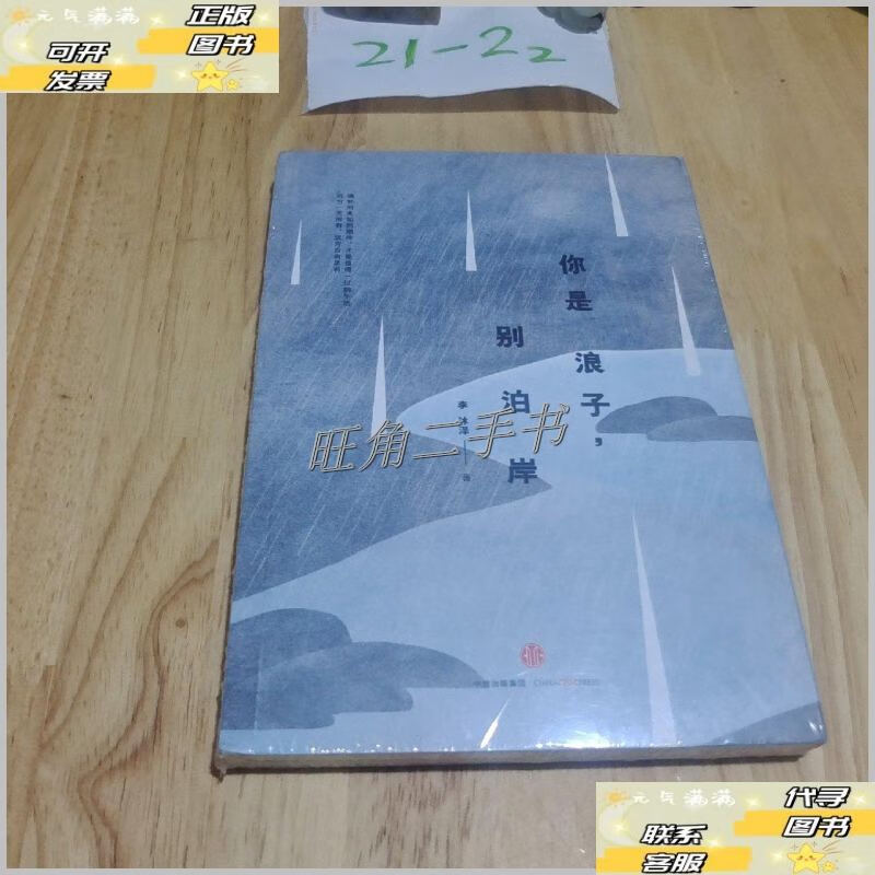 【二手9成新】你是浪子,别泊岸 /李沐泽 中信出版社