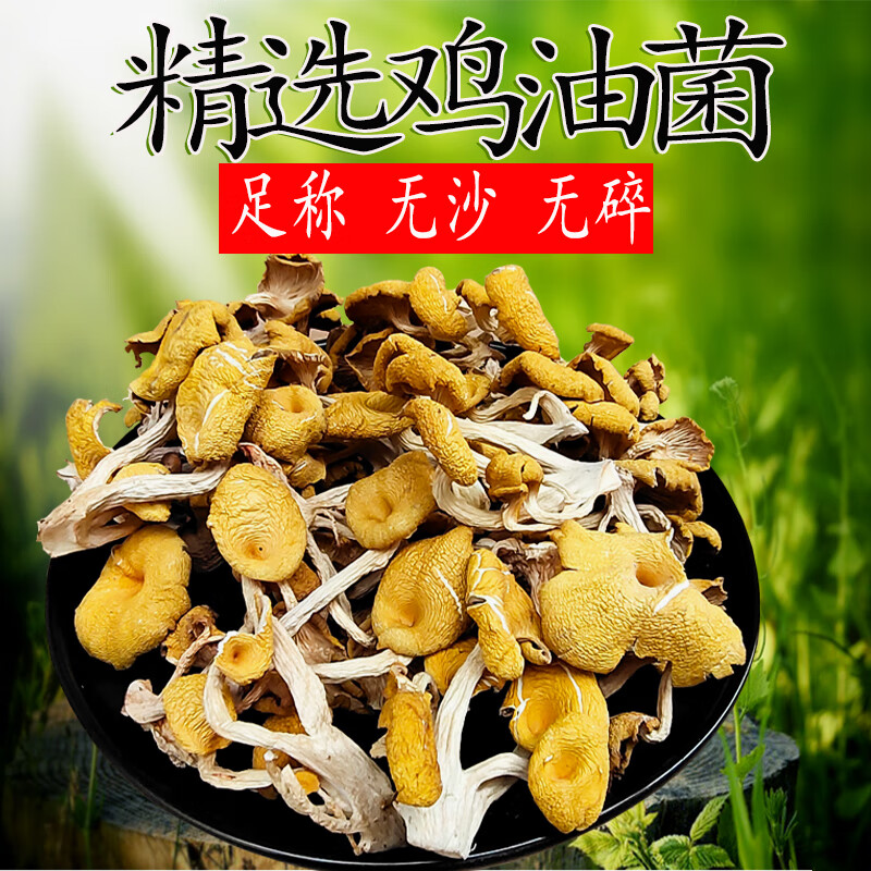 桃枫小离鸡油菌干货500克云南菌子新鲜榆黄蘑干菇菌菇煲汤香菇菌磨菇类 500g