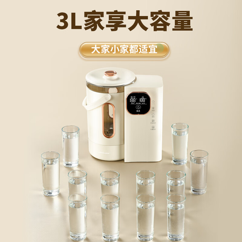 荣事达（Royalstar）电热水瓶电热水壶恒温水壶电水壶3L大容量防烫多段保温可拆式开水机开水壶烧水壶饮水机RP-D30E