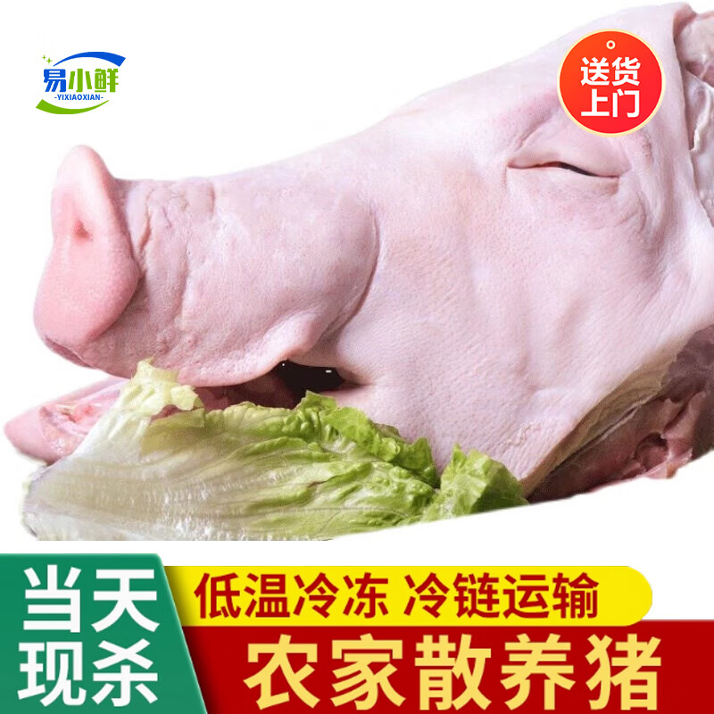 油六福山東當天現(xiàn)殺新鮮豬頭土豬帶耳朵豬舌豬腦帶骨豬臉整個去毛 20斤帶耳朵