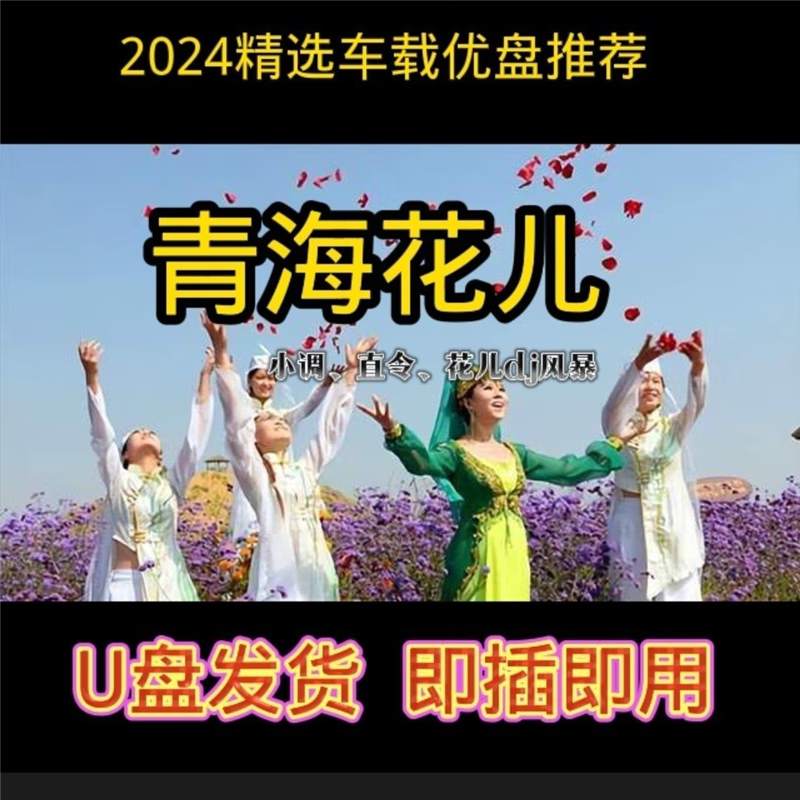 bmad青海花儿dj小调直令传统花儿音乐u盘音频视频可听可看车载专用u盘