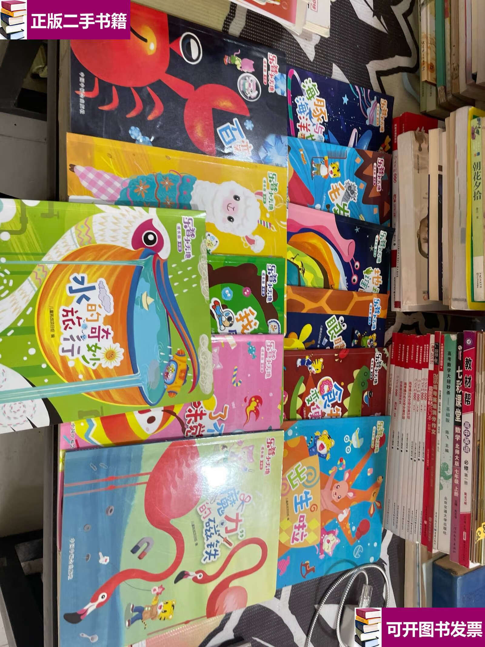 【二手9成新】乐智小天地 成长版 中班12本合售 /儿童挑战项目组 中国