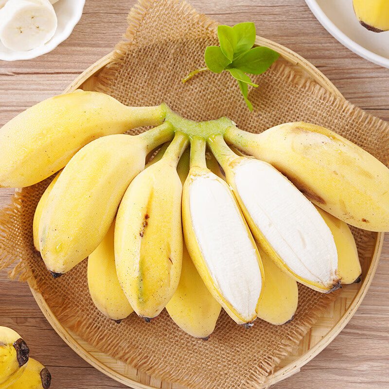 正宗广西小米蕉新鲜水果当季小香蕉新鲜现摘 带箱 2.5kg