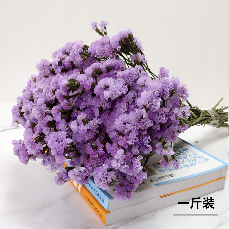 真花云南干花摆件小清新客厅装饰小干花论斤卖sn6157 浅紫色勿忘我
