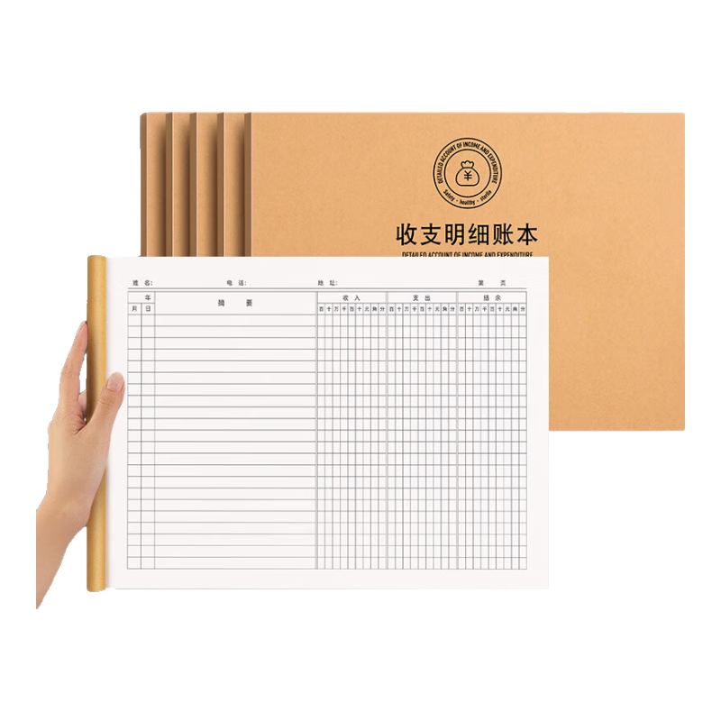 白金丽人 收支明细记账本收支簿a4现金日记账本公司个人理财记录本 5本装