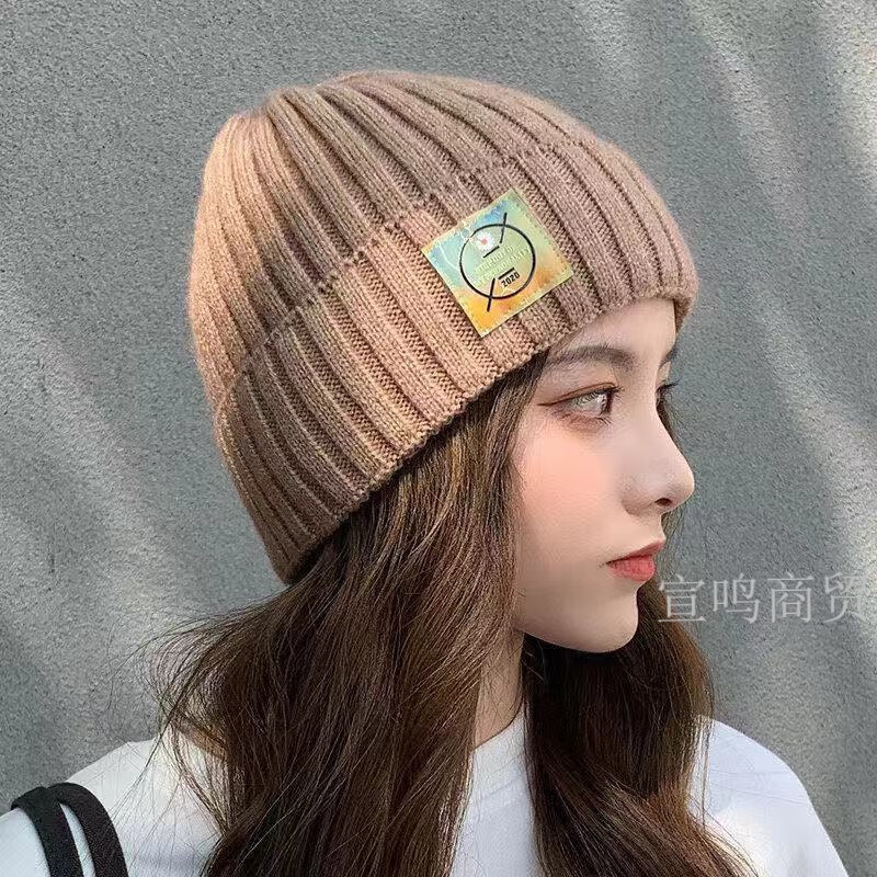 HACNSKD帽子女秋冬季绒线帽 女士新款时尚韩版百搭可爱针织帽 小雏菊+变色标粉色