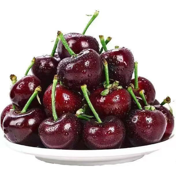 集南鲜 智利车厘子进口大樱桃【顺丰/JD速运-多地次日达】水果年货礼盒 5斤(净重) 甄选原箱礼盒 JJ级 