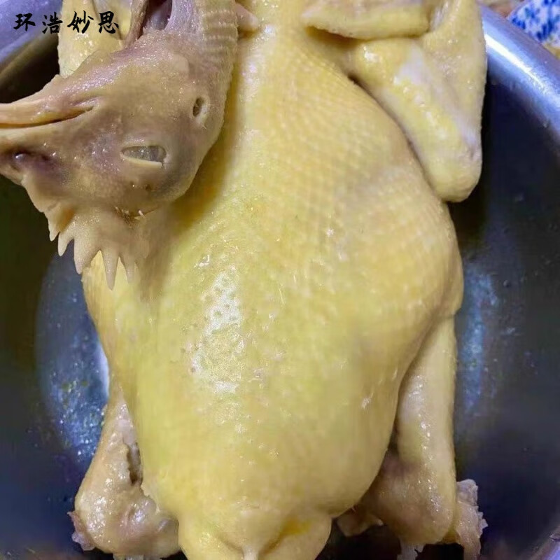 营贸广东湛江走地鸡白切鸡走地鸡阉鸡公母鸡安铺鸡散养鸡冷冻新鲜 现