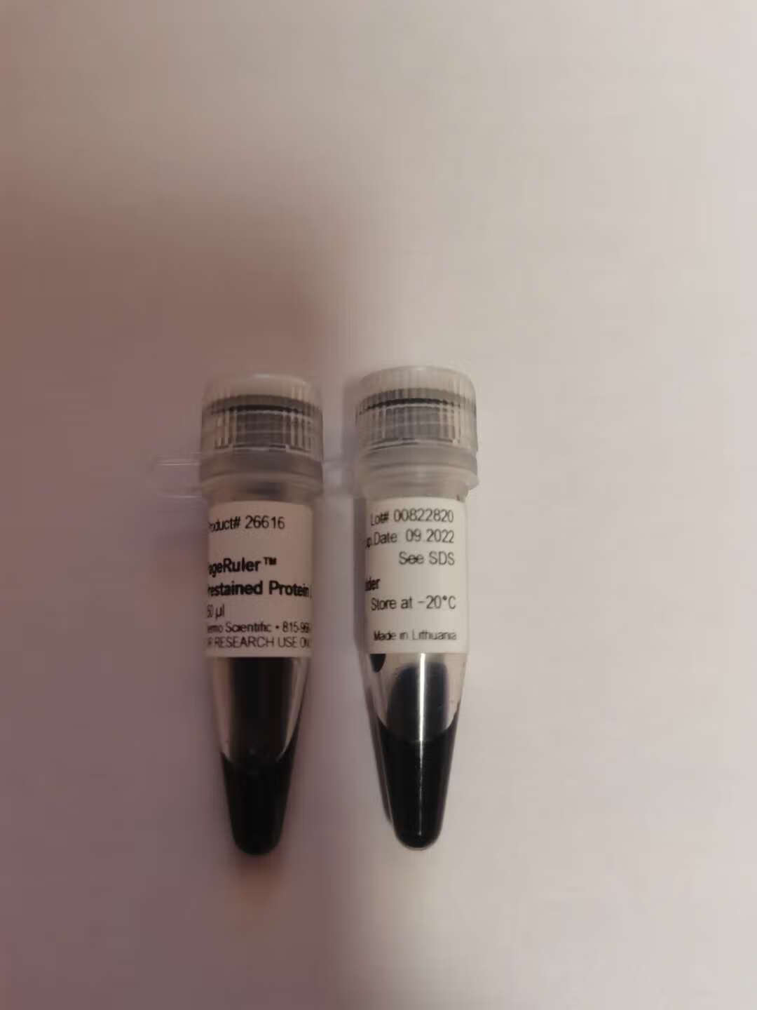 预染彩虹蛋白marker10-180kd 赛默飞 26616/26617 250ul/支 26616250