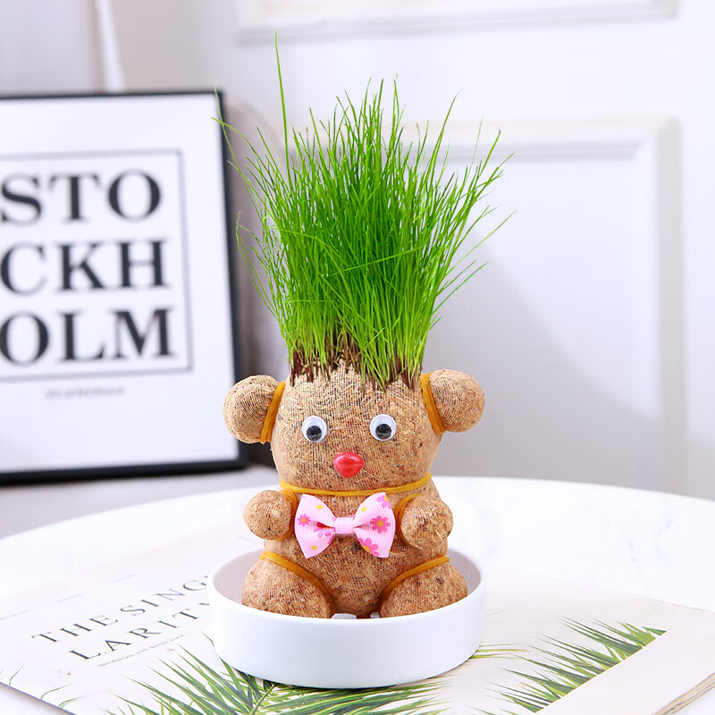 幼儿园种植迷你趣味头上长草绿植儿童小礼物diy 可爱小熊(喷壶)含盆