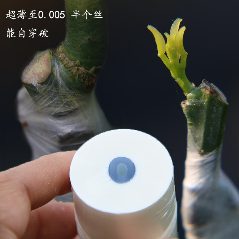 嫁接膜专用膜条膜pe打结薄膜嫁接绑带果树苗木包扎带非自粘超薄膜 4