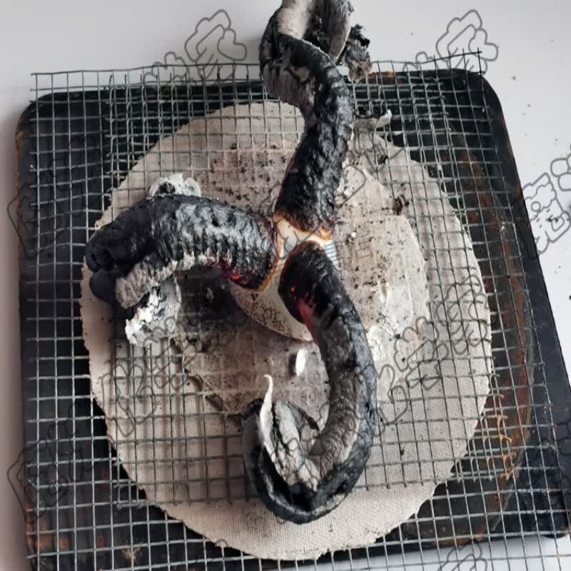 狮奥利兴法老之蛇实验材料可以做3次 全新升 趣味化学科学魔早教盒子