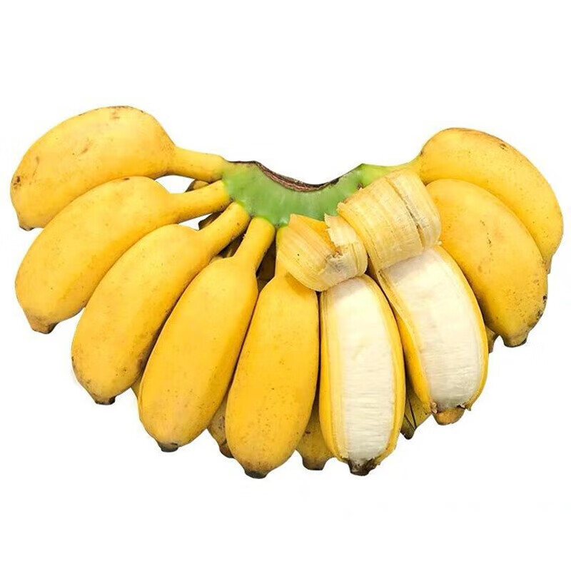 梦芷广西小米蕉新鲜香蕉现酸甜小香蕉应季水果现砍青色(催熟食用)带箱 【泡沫箱】 4.5斤 精选装