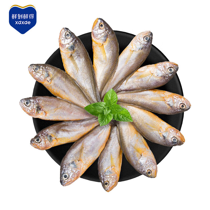 鲜到鲜得 冷冻海捕小黄鱼800g(29-31条) 黄花鱼 深海鱼 生鲜鱼类 海鲜水产