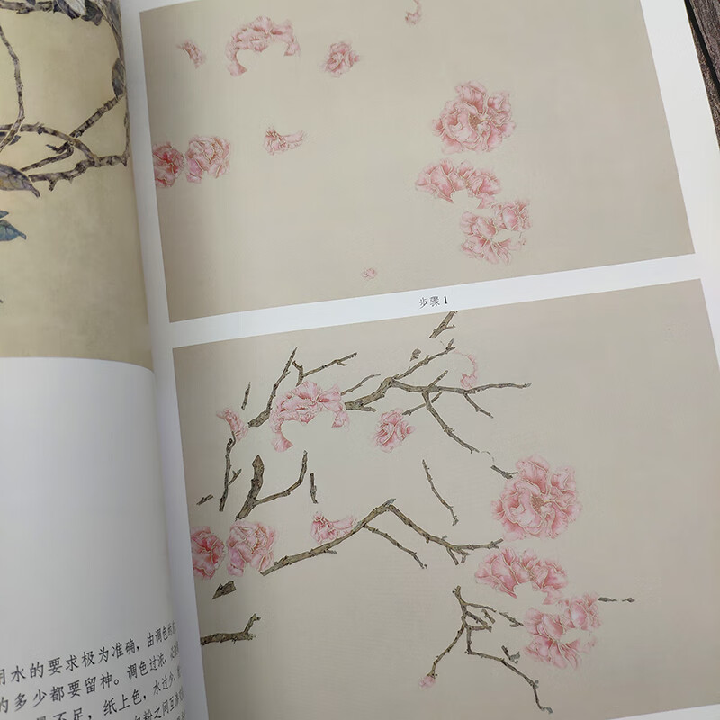 中国工笔花鸟画教程美术成人自学教材白描底稿染色方法花鸟画技法构图