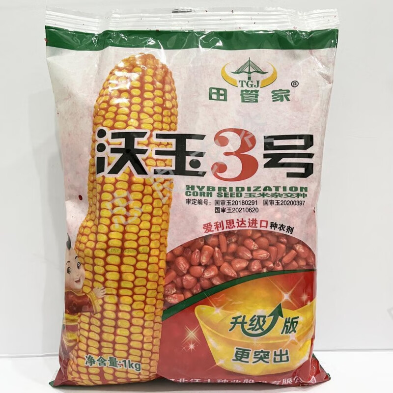 禾之润沃玉3号国审杂交玉米抗虫矮杆大棒穗大包谷种子 丰产优良品种