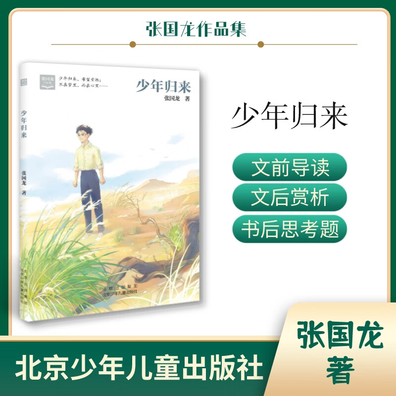 张国龙作品集 少年归来 北京少年儿童出版社张国龙著