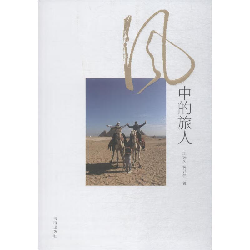 风中的旅人 江铸久,芮乃伟 书海出版社