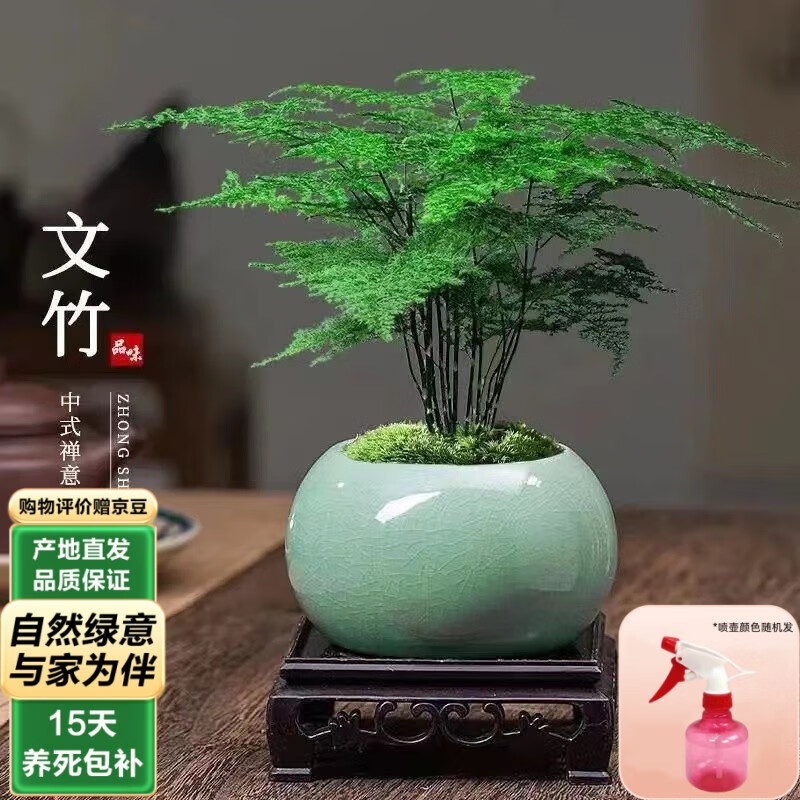 ̩��˿�����辰������ֲ���� ����+�̸�Ҥ������+̦޺+���� Դͷֱ��