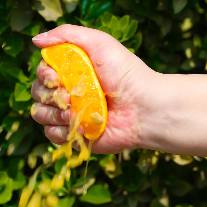 鲸咚亿农正宗江西赣南脐橙赣州脐橙橙子水果新鲜现摘时令水果年货节礼盒 10斤 带箱精品大果【80-90mm】净重9斤