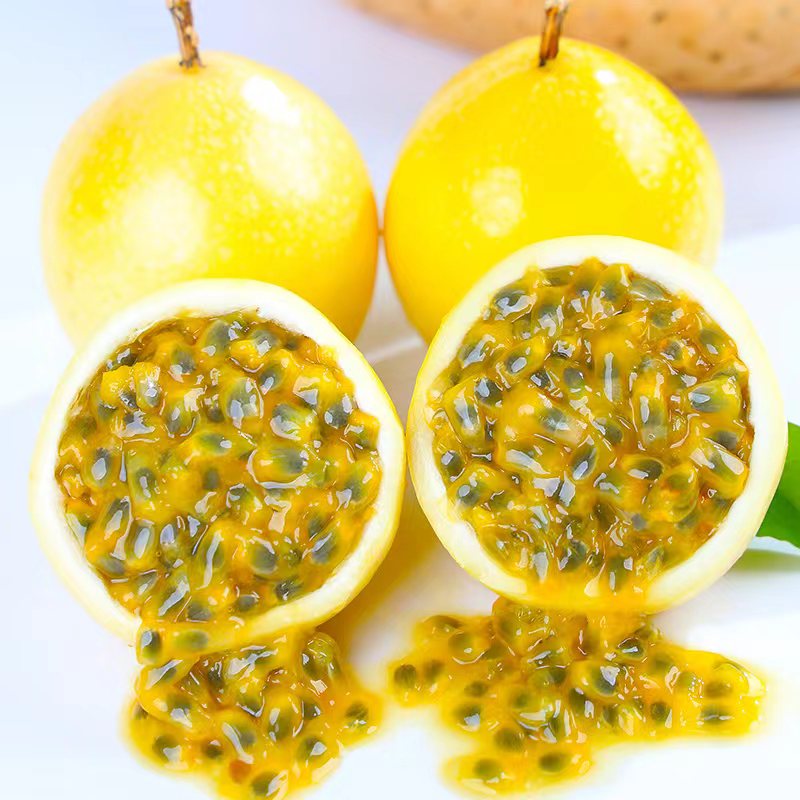 ������ �ƽ����� 2.25-2.5�60-70g/����