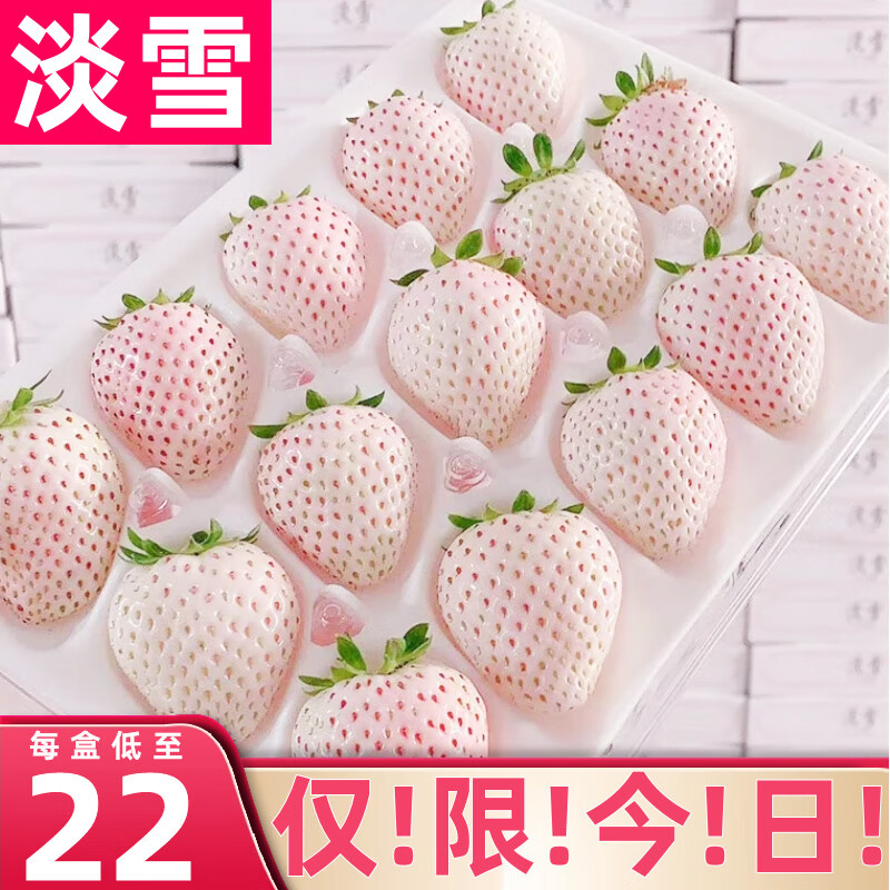【顺丰】淡雪草莓白粉色玉草莓水果奶油草莓年货新年礼送女 【白色淡雪】更香甜 2盒500g礼盒丨顺丰速达