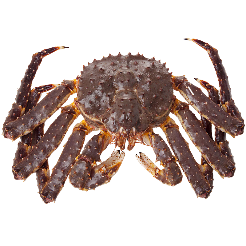 ��������˹����з�ʻ��䶳�ʵ�з���з���ʽ��������Ʒ ����3-3.5��/ֻ�����ʿ