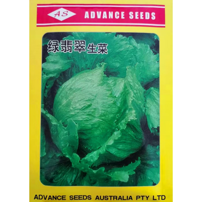 禾之润结球生菜种子意大利接球生菜种籽早熟丰产汉堡生菜蔬菜抗病 绿