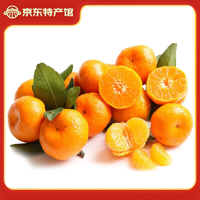静益乐源沙糖橘 广西砂糖桔 桔子 新鲜水果 2.5kg装