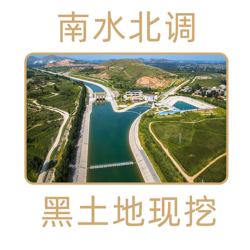 【绿色食品】沙地红心蜜薯糖心流油 烤地瓜西瓜红薯番薯烟薯蔬菜 中果5斤净重(3-8两)