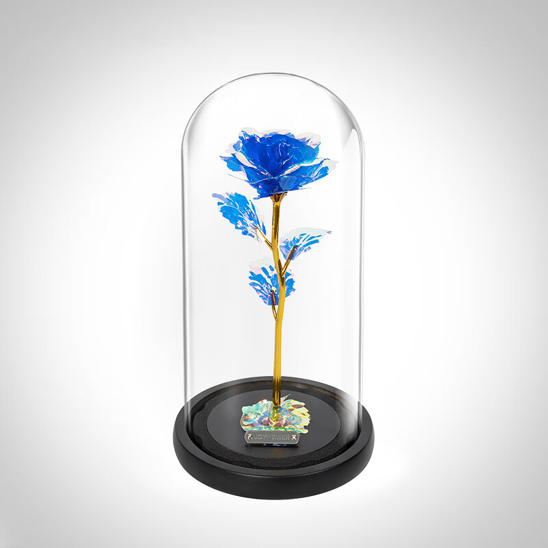 õ����Ӽ���õ���������ڼ��������˽������������������Ů����������