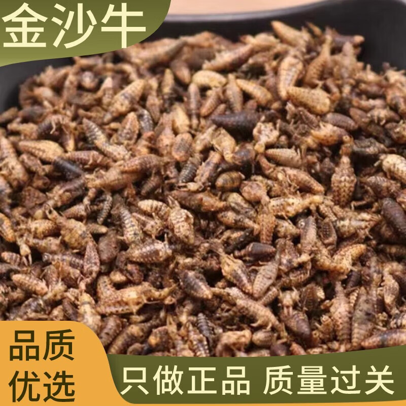 北京同仁原料广西新鲜金沙牛中药材晒干无泥沙砂牛虫蚂岭虫蚁狮地牯牛