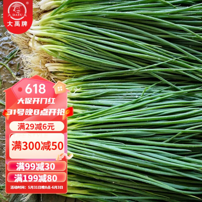 大禹四季分葱种子苗小葱香葱耐热耐寒家庭种春季蔬菜籽阳台盆栽  农家