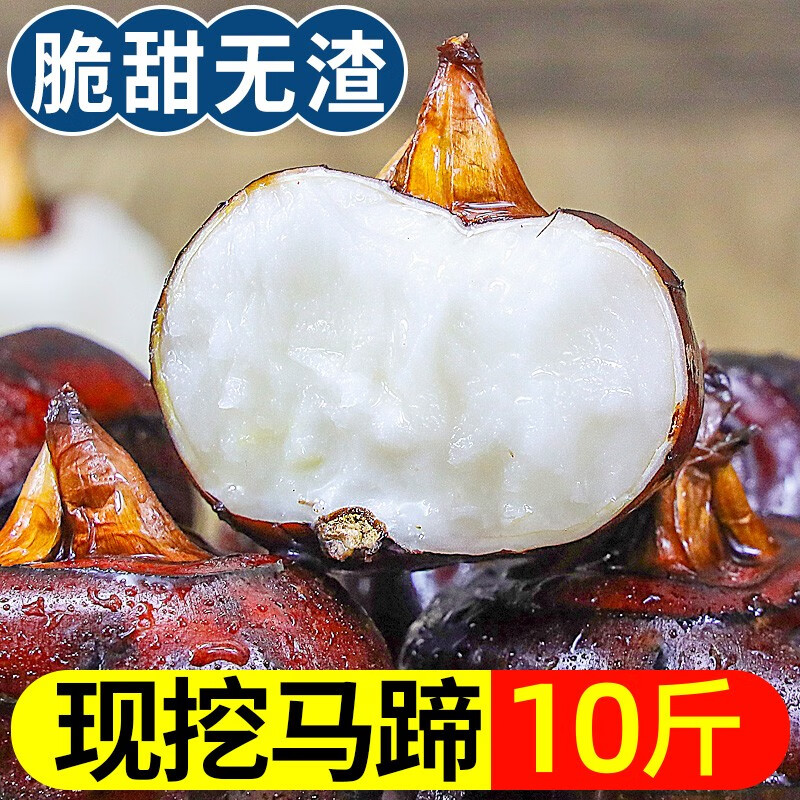 马蹄果当季整箱新鲜时令水果蔬菜脆甜多汁荸荠大个饽荠现挖 1000g
