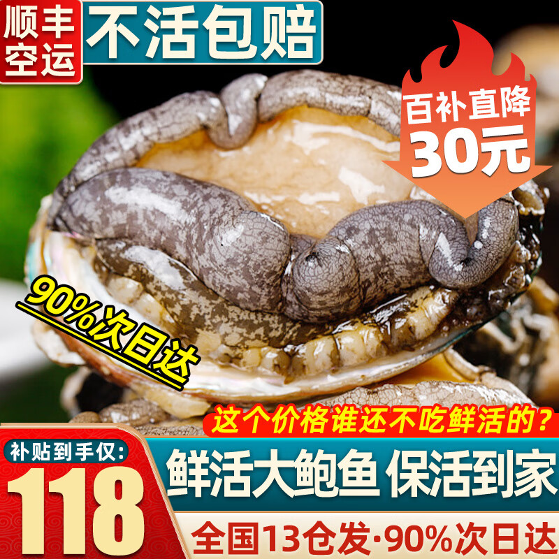 首鲜道包活 福建连江鲜活鲍鱼活鲜 生鲜 贝类超大2斤 海鲜其他水产鲜嫩 精品活鲍32-36只 2斤(保活净重)