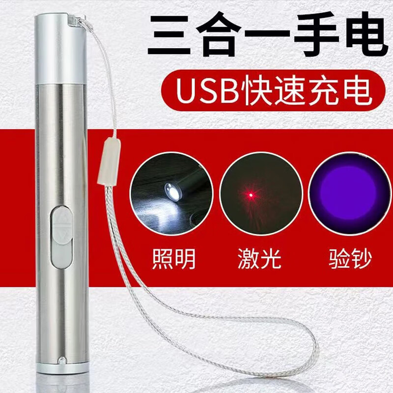 天窗多功能迷你USB可充电小手电筒激光教鞭紫光验钞灯紫外线验钞机笔 银色
