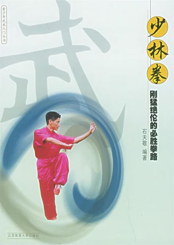 少林拳:刚猛绝伦的必胜拳路——青少年武术入门【正版图书,放心购买】