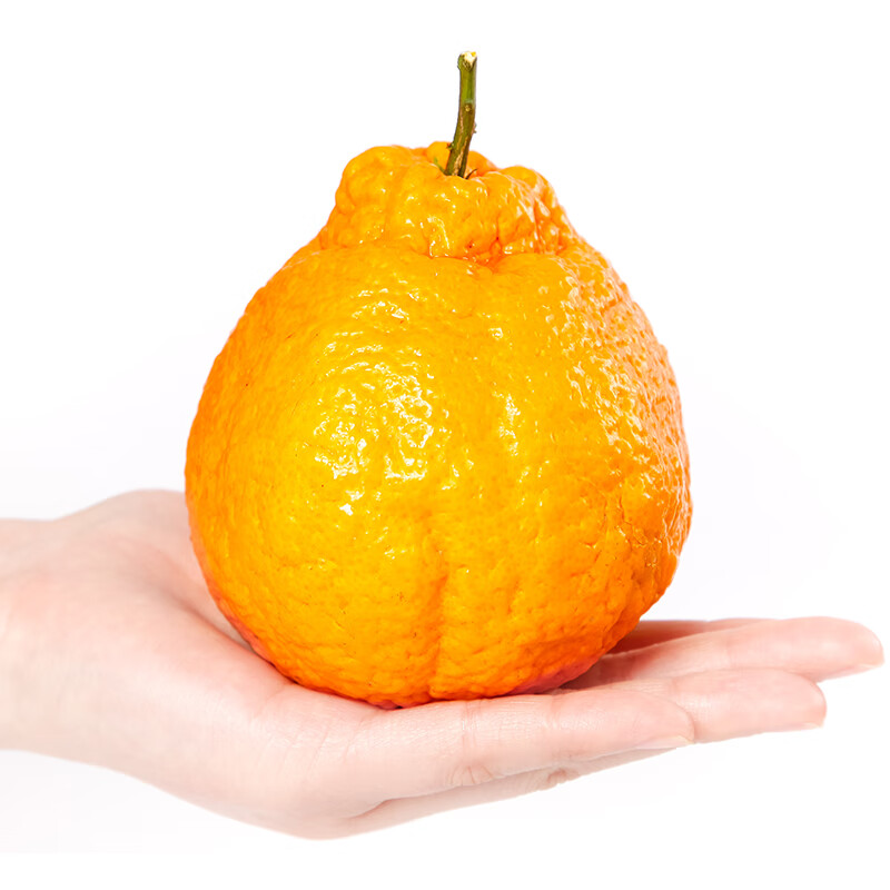 乌岽山 四川不知火丑橘(带酸品种) 带箱9斤 酸甜带箱4.5斤(净重4斤)特大果C