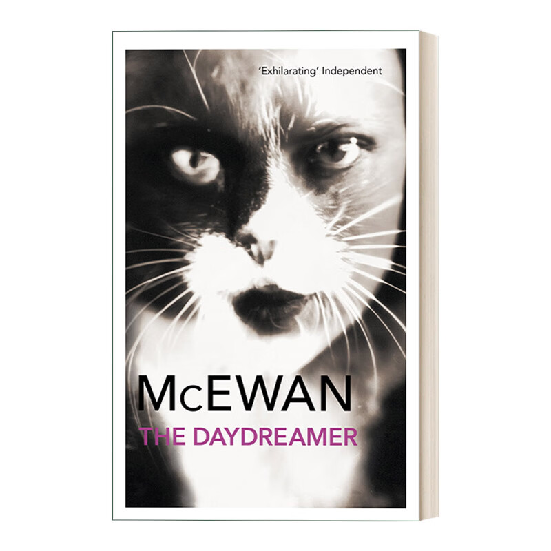 the daydreamer 梦想家彼得 伊恩·麦克尤恩写给孩子的故事 英文版