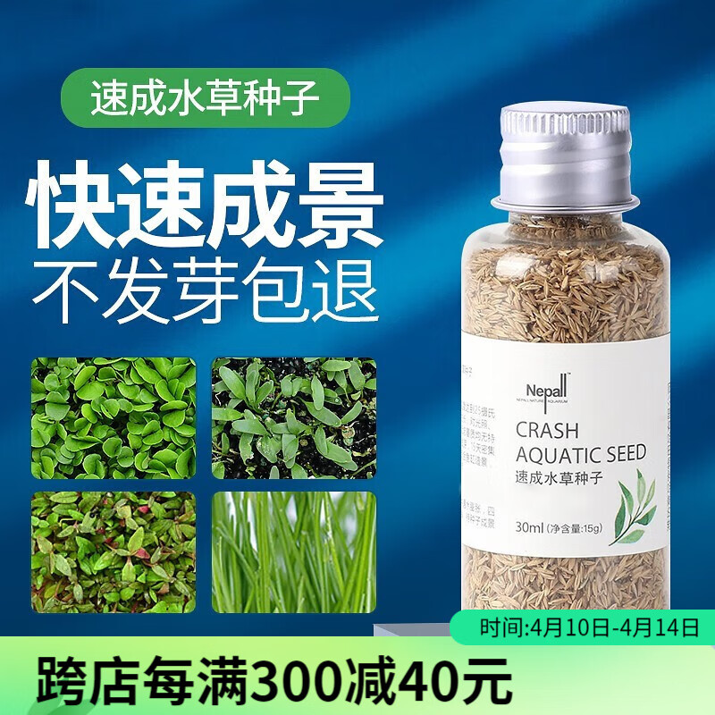 对叶水草泥真水草懒人水草种籽牛毛水草植物 爱情草15g(适用种植面积