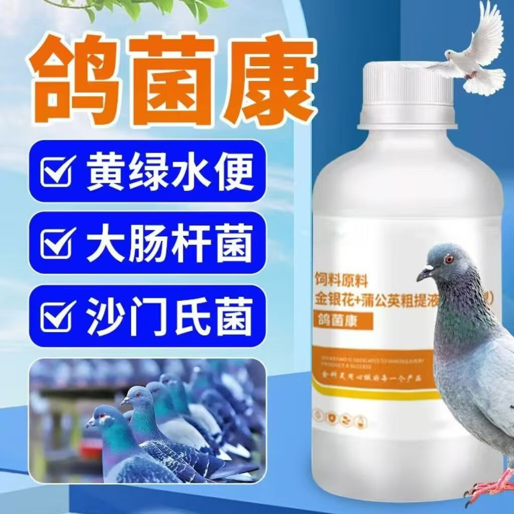 鸽菌康鸽子沙门氏菌大肠杆菌拉稀腹泻甩拉吐专用鸽子药 1瓶